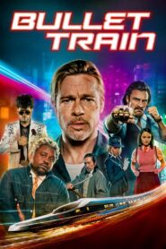 Bullet Train (2022) Hindi Dubbed